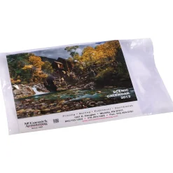 10" x 12" Layflat Poly Bags, 1 Mil, Clear, 1000/Carton (2330)