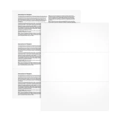 Adams 2024 1099-NEC Blank Forms with Copy B Printed Backs, 50 sheets/pack (LNECBLANK-S)
