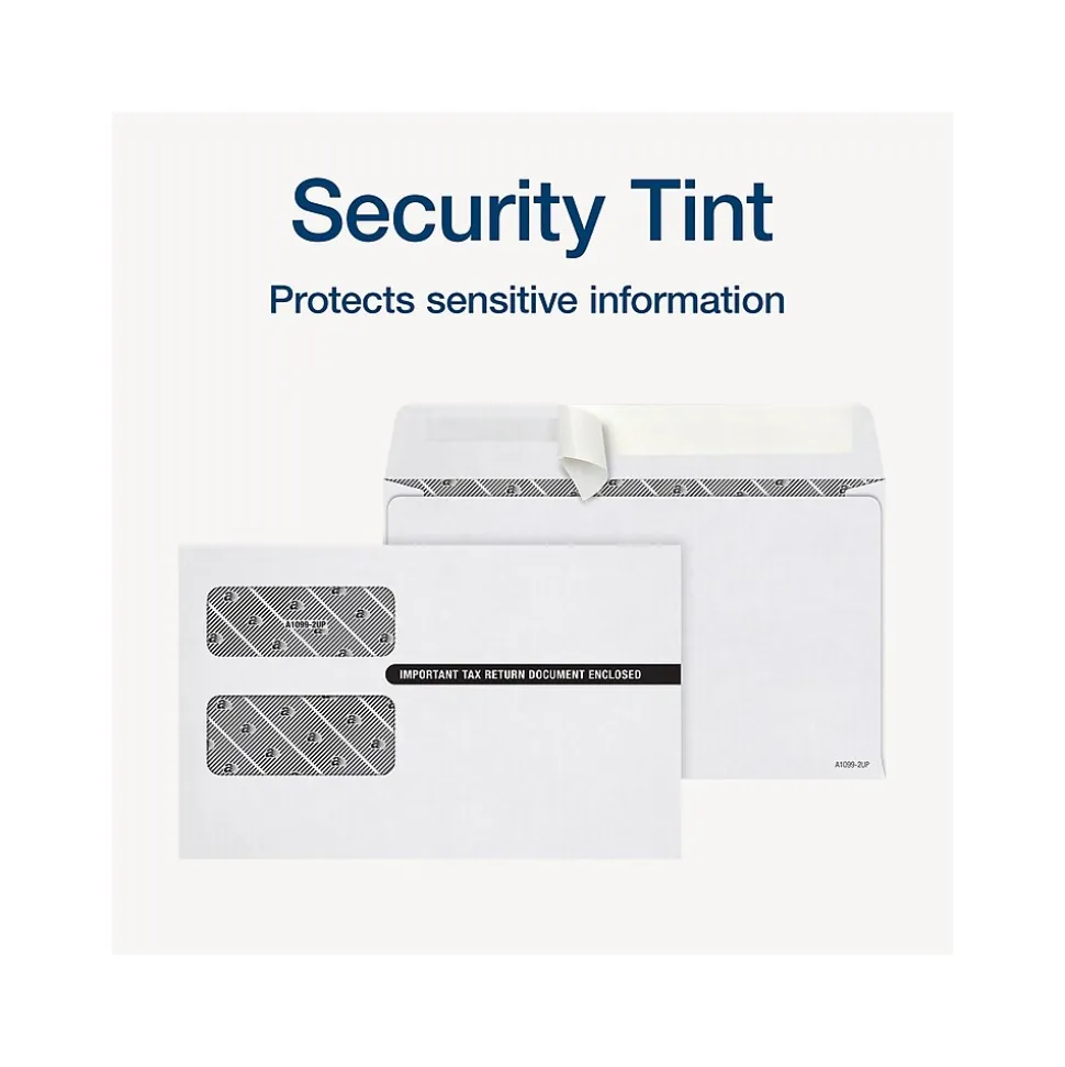 Adams 2024 Self-Seal Security-Tinted Double-Window 1099 Tax Envelope, 9" x 5-5/8", White, 25/Pack (STAX1-24)