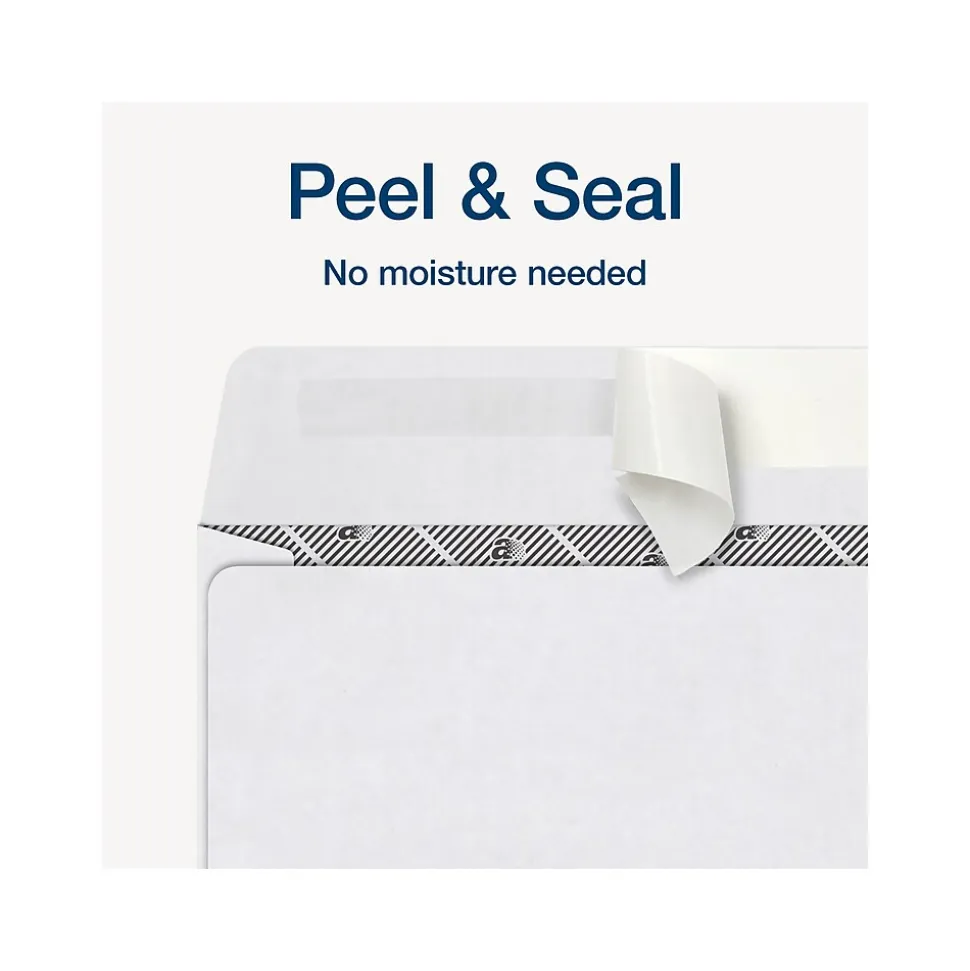 Adams 2024 Self-Seal Security-Tinted Double-Window 1099 Tax Envelope, 9" x 5-5/8", White, 25/Pack (STAX1-24)