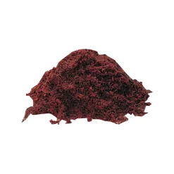 Anchor Dirt and Dust Floor Sweeping Compound (103-FLOOR-SWEEP)