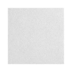 Armstrong CALLA Square Tegular Edge Ceiling Tile 15/16, 24" x 72", White, 6/Carton (BP2865)