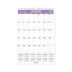 AT-A-GLANCE 2025 15.5" x 22.75" Monthly Wet-Erasable Wall Calendar (PMLM03-28-25) Hot
