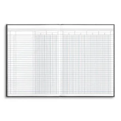 Columnar Book, 12-Columns, 7.25" x 9.5", Blue Marble, 40 Sheets/Book (217976ABF)