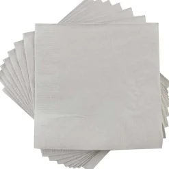 JAM Paper Beverage Napkin, 2-ply, Silver, 50 Napkins/Pack (255628826)