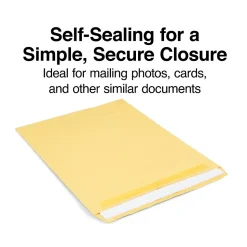 Staples Self Seal Kraft Catalog Envelopes, 12" x 15.5", Brown, 100/Box (534826/17102)