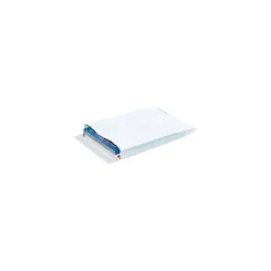 Tyvek Self Seal Catalog Envelopes, 9" x 12", White, 100/Carton (TYE09122WE)