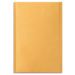 10.25" x 13.5" Self-Sealing Bubble Mailer, #4, 25/Carton (ST56648B)