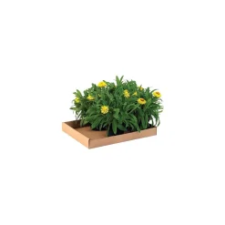 24" x 12" x 1.75" Corrugated Trays, 32 ECT, White, 50/Bundle (24122CTW)
